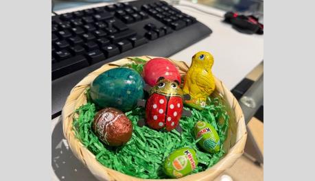 SOFTAGE feiert Ostern mit einem kleinen Snack Nest für alle Kollegen